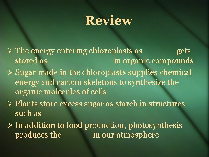 Review The energy entering chloroplasts as gets stored as in organic compounds Sugar made