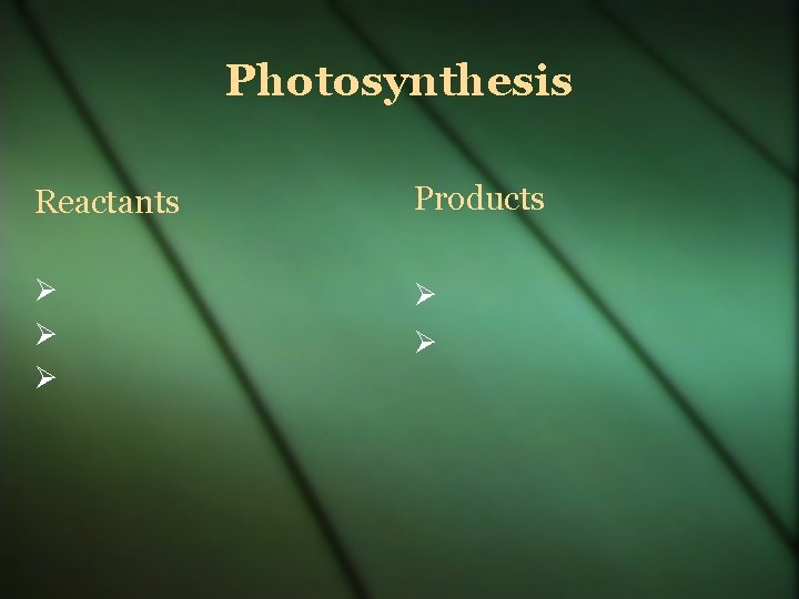 Photosynthesis Reactants Products 