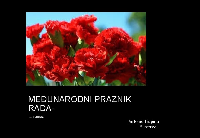 MEĐUNARODNI PRAZNIK RADA 1. SVIBANJ Antonio Trupina 5. razred 