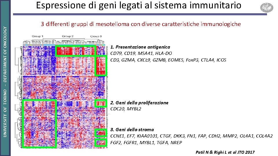 UNIVERSITY OF TORINO – DEPARTMENT OF ONCOLOGY Espressione di geni legati al sistema immunitario