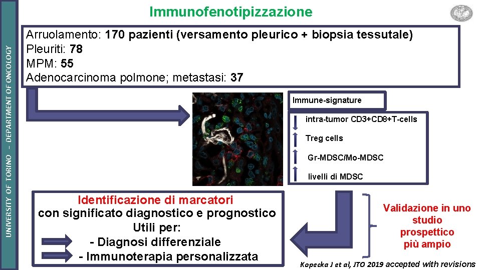 UNIVERSITY OF TORINO – DEPARTMENT OF ONCOLOGY Immunofenotipizzazione Arruolamento: 170 pazienti (versamento pleurico +