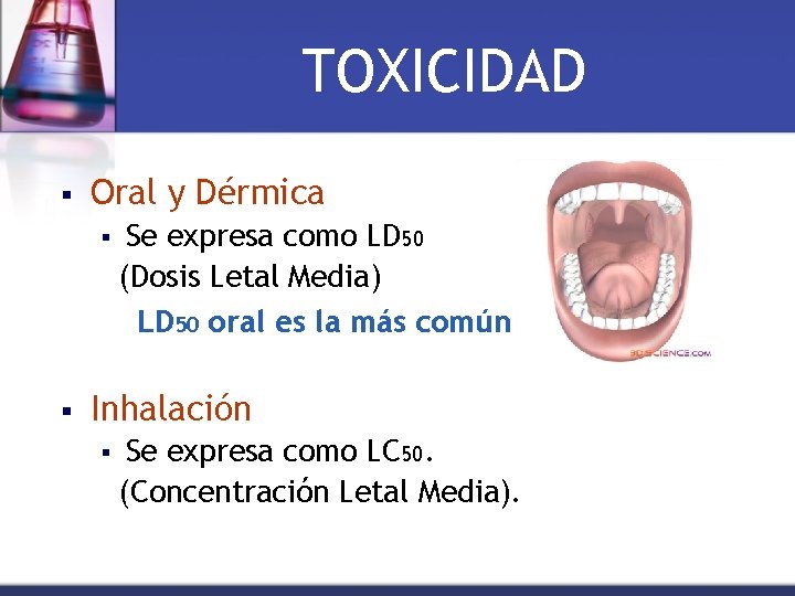 TOXICIDAD § Oral y Dérmica § § Se expresa como LD 50 (Dosis Letal