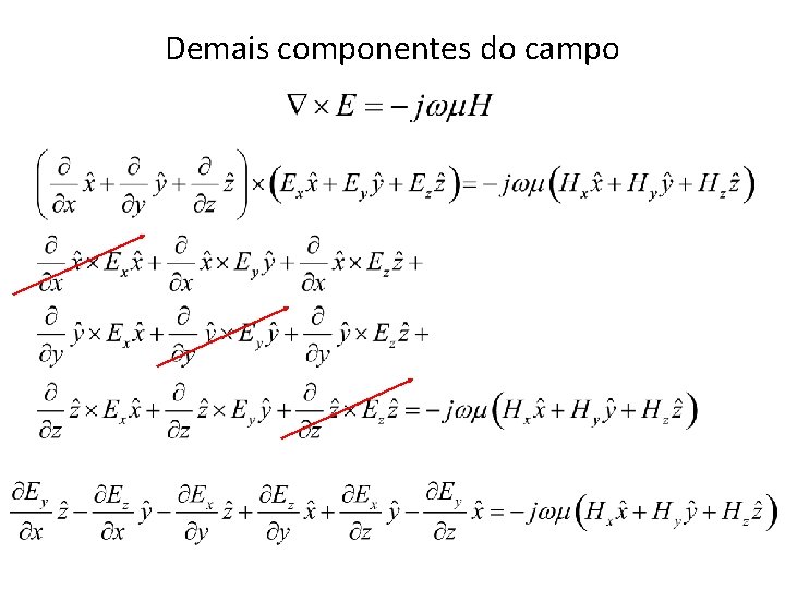 Demais componentes do campo 