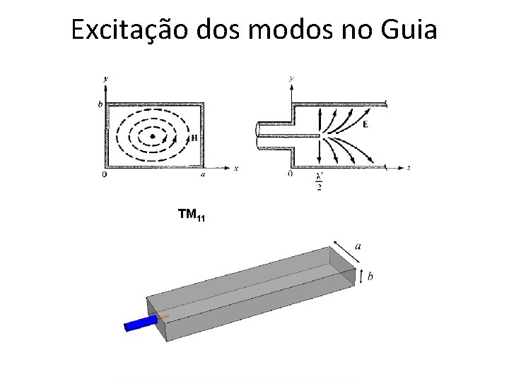 Excitação dos modos no Guia TM 11 