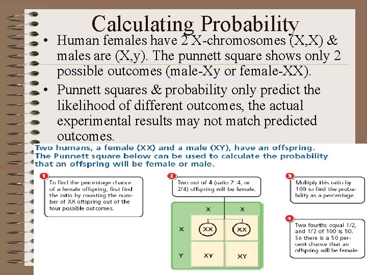 PATTERNS OF HEREDITY CAN BE PREDICTED PUNNETT SQUARES