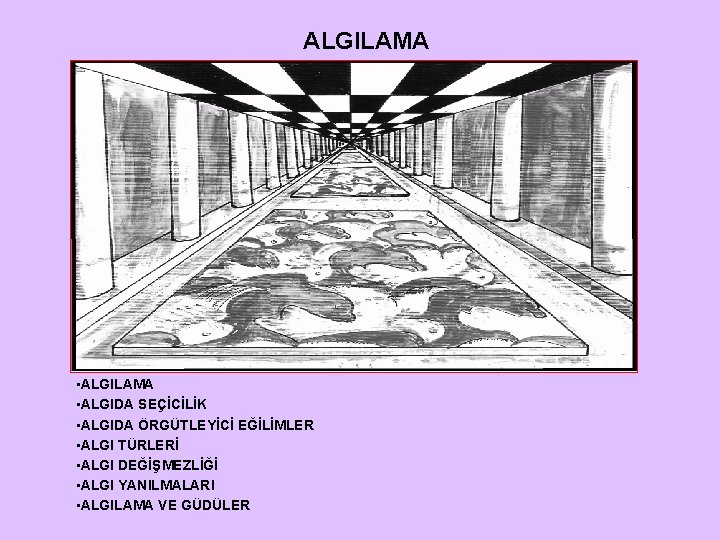 ALGILAMA • ALGILAMA • ALGIDA SEÇİCİLİK • ALGIDA ÖRGÜTLEYİCİ EĞİLİMLER • ALGI TÜRLERİ •