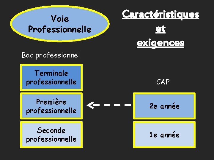 Voie Professionnelle Caractéristiques et exigences Bac professionnel Terminale professionnelle CAP Première professionnelle 2 e