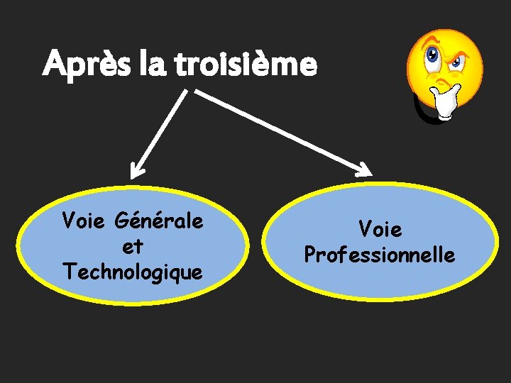 Après la troisième Voie Générale et Technologique Voie Professionnelle 