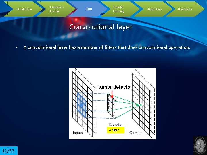 Introduction Literature Review CNN Transfer Learning Case Study Conclusion Convolutional layer • A convolutional