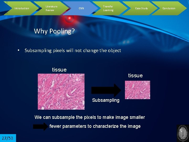 Introduction Literature Review CNN Transfer Learning Case Study Why Pooling? • Subsampling pixels will