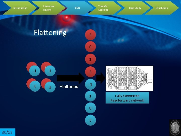 Literature Review Introduction Transfer Learning CNN Flattening Case Study 3 0 1 3 -1