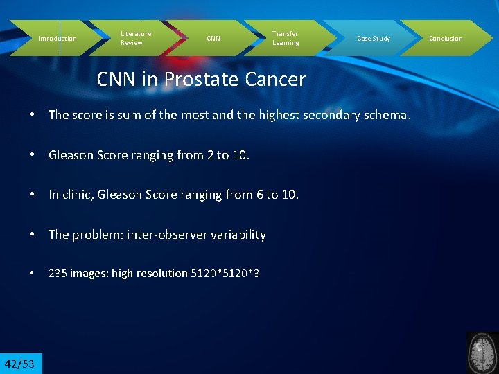 Introduction Literature Review CNN Transfer Learning Case Study CNN in Prostate Cancer • The