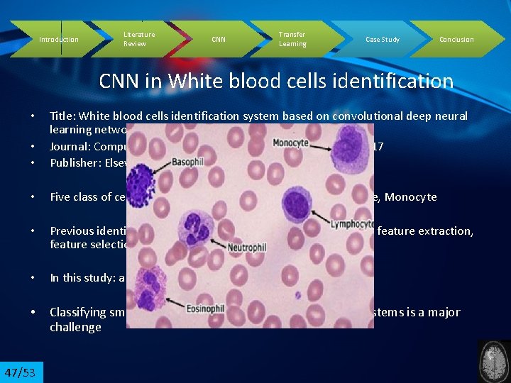 Introduction Literature Review CNN Transfer Learning Case Study Conclusion CNN in White blood cells