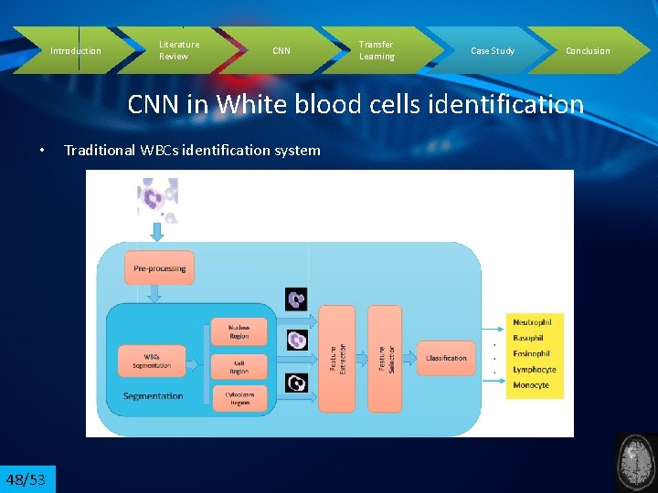Introduction Literature Review CNN Transfer Learning Case Study Conclusion CNN in White blood cells