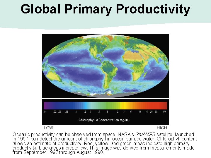 Global Primary Productivity Oceanic productivity can be observed from space. NASA’s Sea. Wi. FS