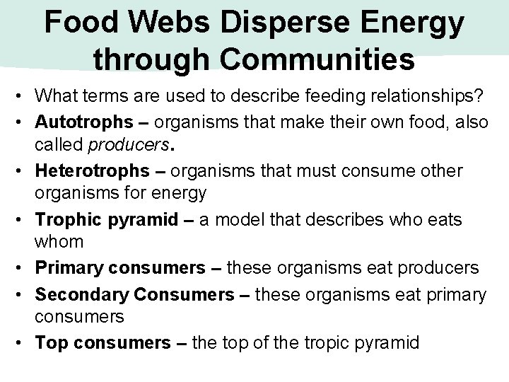 Food Webs Disperse Energy through Communities • What terms are used to describe feeding