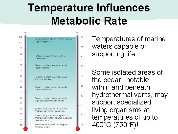 Temperature Influences Metabolic Rate Temperatures of marine waters capable of supporting life. Some isolated