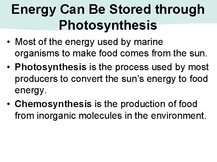 Energy Can Be Stored through Photosynthesis • Most of the energy used by marine