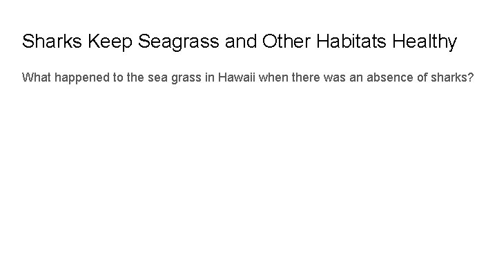 Sharks Keep Seagrass and Other Habitats Healthy What happened to the sea grass in