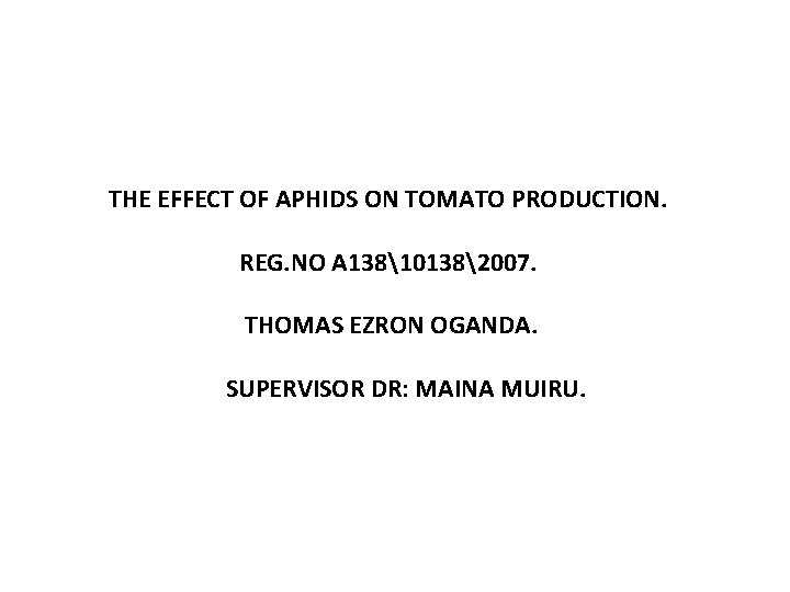 THE EFFECT OF APHIDS ON TOMATO PRODUCTION. REG. NO A 138101382007. THOMAS EZRON OGANDA.