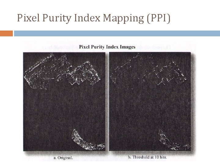 Pixel Purity Index Mapping (PPI) 