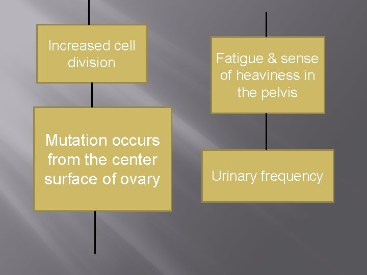 Increased cell division Mutation occurs from the center surface of ovary Fatigue & sense