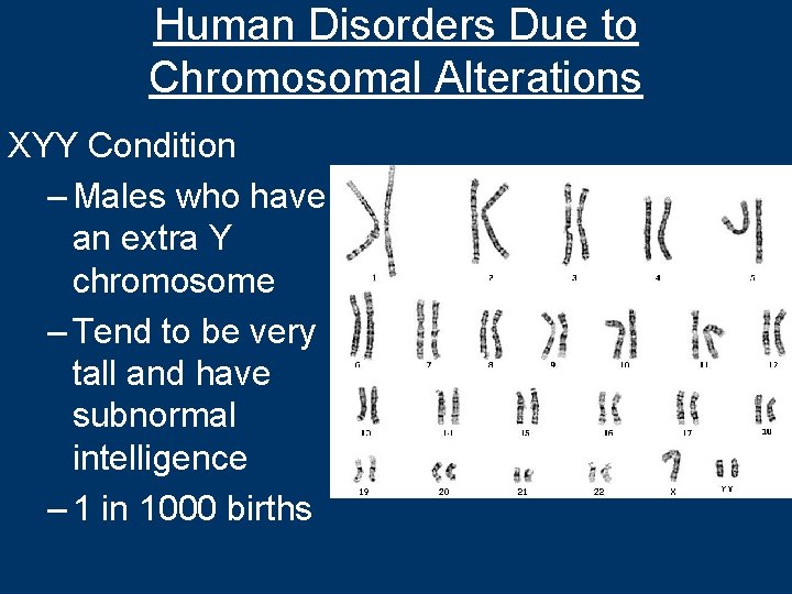 Human Disorders Due to Chromosomal Alterations XYY Condition – Males who have an extra