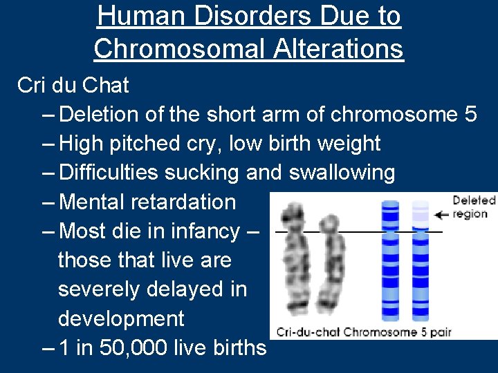 Human Disorders Due to Chromosomal Alterations Cri du Chat – Deletion of the short