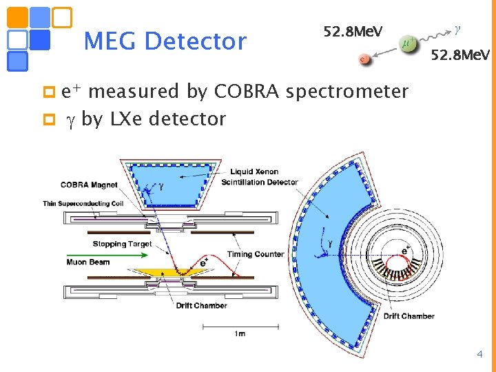 MEG Detector 52. 8 Me. V p e+ measured by COBRA spectrometer p by