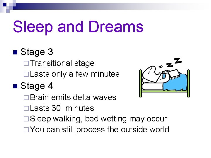 Sleep and Dreams n Stage 3 ¨ Transitional stage ¨ Lasts only a few