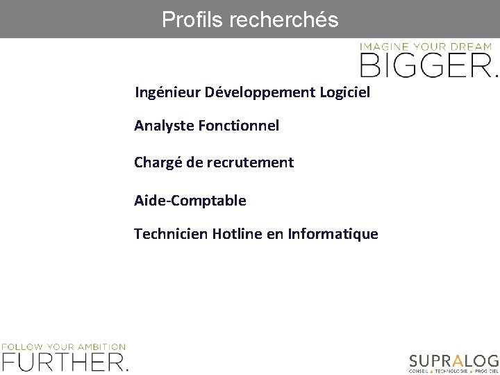 Profils recherchés Ingénieur Développement Logiciel Analyste Fonctionnel Chargé de recrutement Aide-Comptable Technicien Hotline en