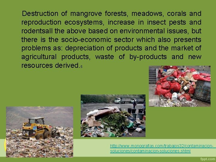 Destruction of mangrove forests, meadows, corals and reproduction ecosystems, increase in insect pests and