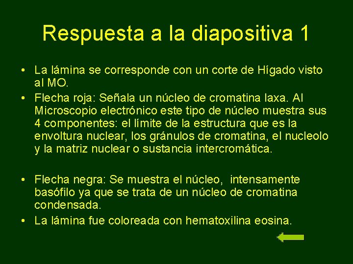 Respuesta a la diapositiva 1 • La lámina se corresponde con un corte de