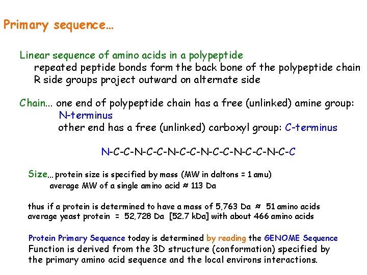Primary sequence… Linear sequence of amino acids in a polypeptide repeated peptide bonds form