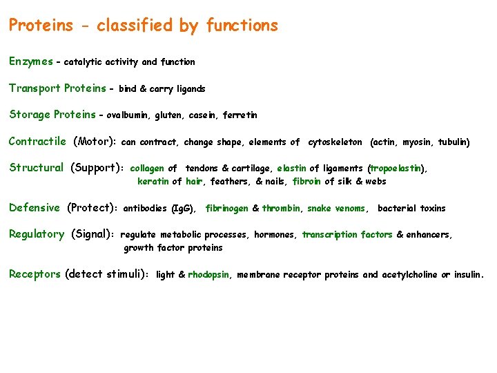 Proteins - classified by functions Enzymes - catalytic activity and function Transport Proteins -