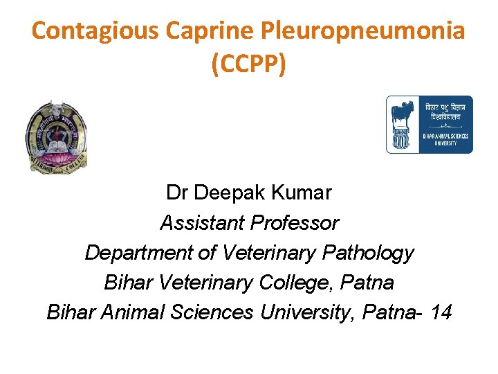 Contagious Caprine Pleuropneumonia (CCPP) Dr Deepak Kumar Assistant Professor Department of Veterinary Pathology Bihar
