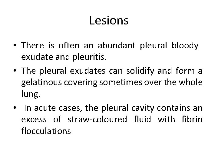 Lesions • There is often an abundant pleural bloody exudate and pleuritis. • The