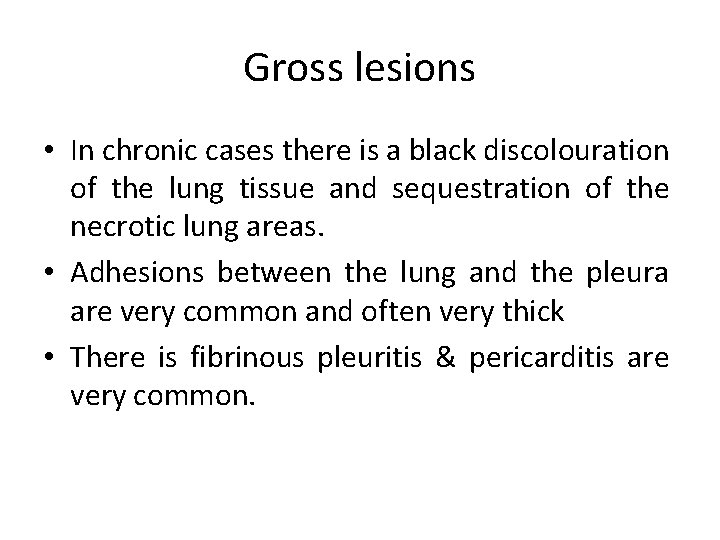 Gross lesions • In chronic cases there is a black discolouration of the lung