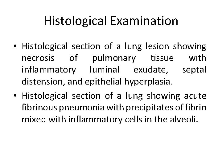 Histological Examination • Histological section of a lung lesion showing necrosis of pulmonary tissue