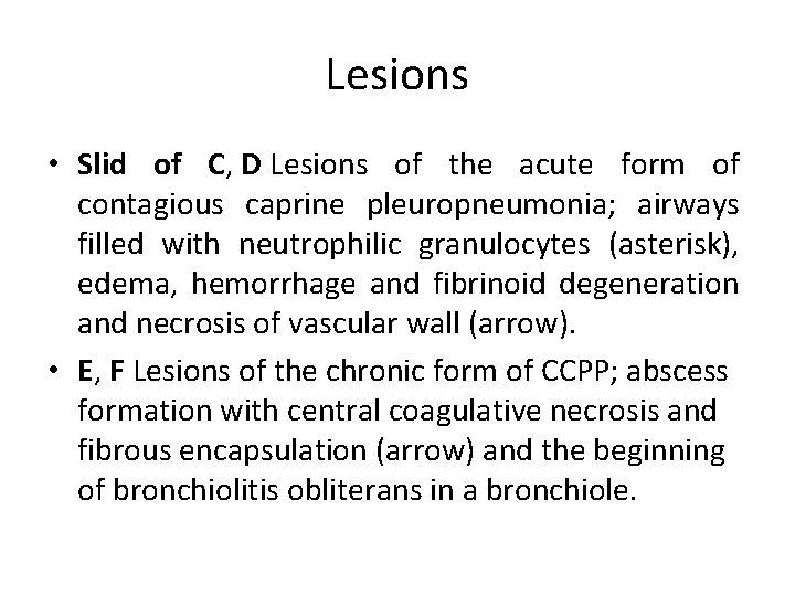 Lesions • Slid of C, D Lesions of the acute form of contagious caprine