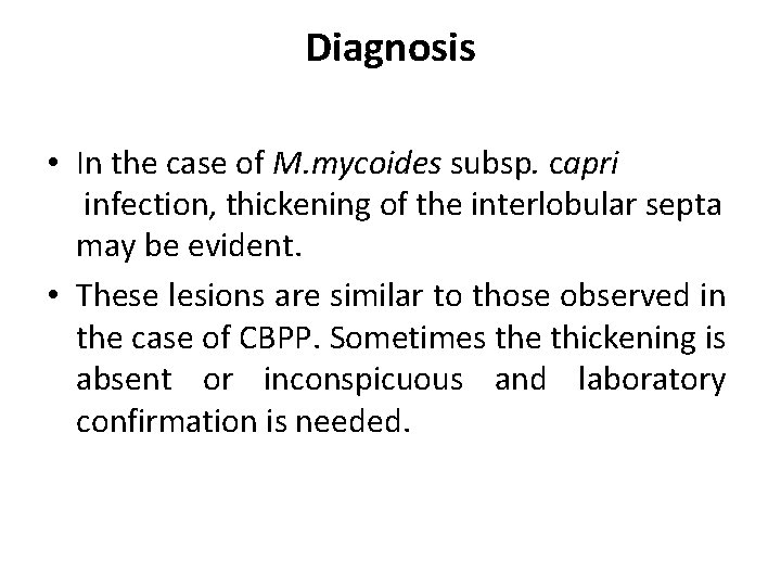 Diagnosis • In the case of M. mycoides subsp. capri infection, thickening of the