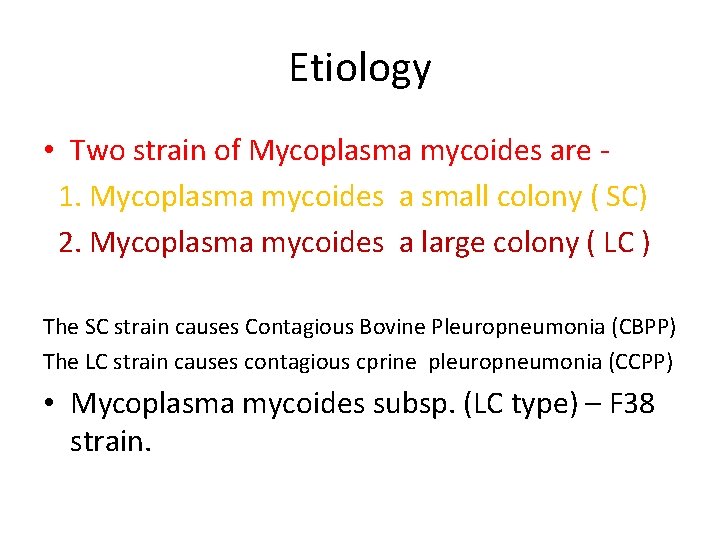 Etiology • Two strain of Mycoplasma mycoides are 1. Mycoplasma mycoides a small colony