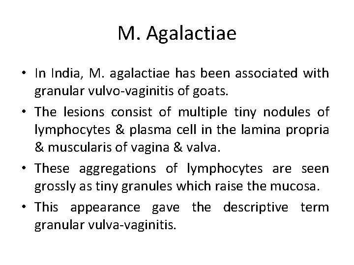 M. Agalactiae • In India, M. agalactiae has been associated with granular vulvo-vaginitis of