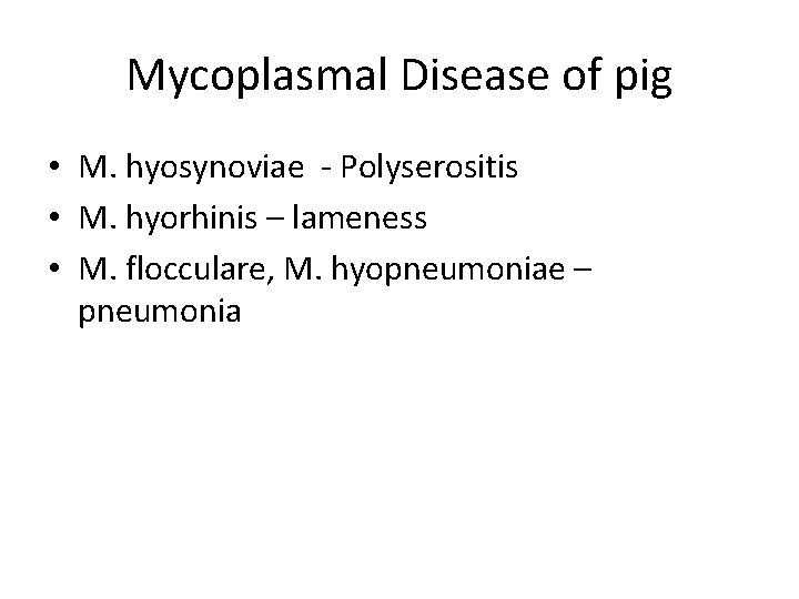 Mycoplasmal Disease of pig • M. hyosynoviae - Polyserositis • M. hyorhinis – lameness