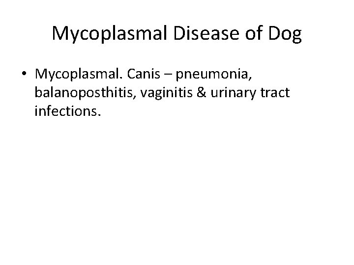 Mycoplasmal Disease of Dog • Mycoplasmal. Canis – pneumonia, balanoposthitis, vaginitis & urinary tract