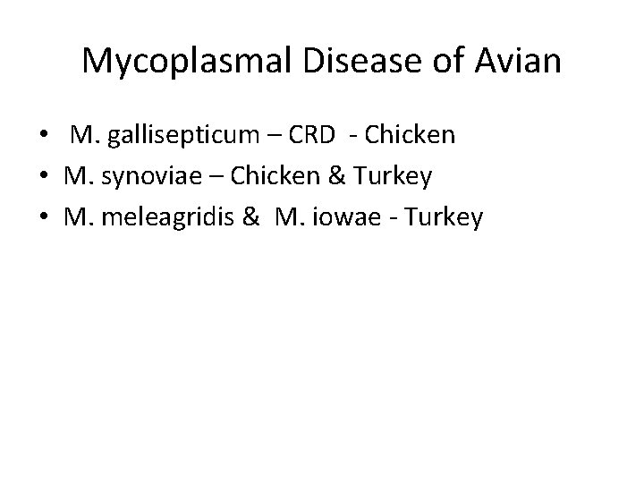 Mycoplasmal Disease of Avian • M. gallisepticum – CRD - Chicken • M. synoviae