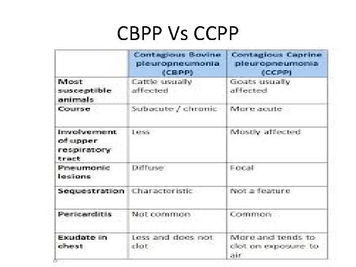 CBPP Vs CCPP 