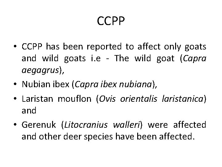 CCPP • CCPP has been reported to affect only goats and wild goats i.