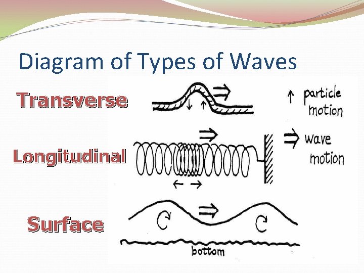 Diagram of Types of Waves Transverse Longitudinal Surface 