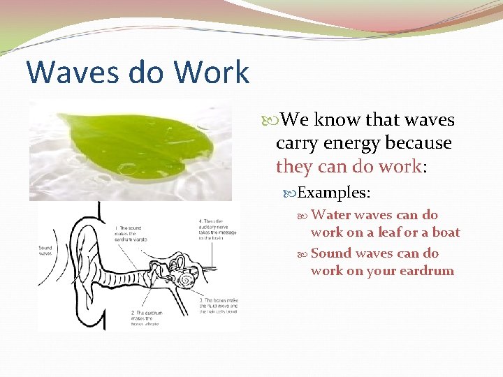 Waves do Work We know that waves carry energy because they can do work: